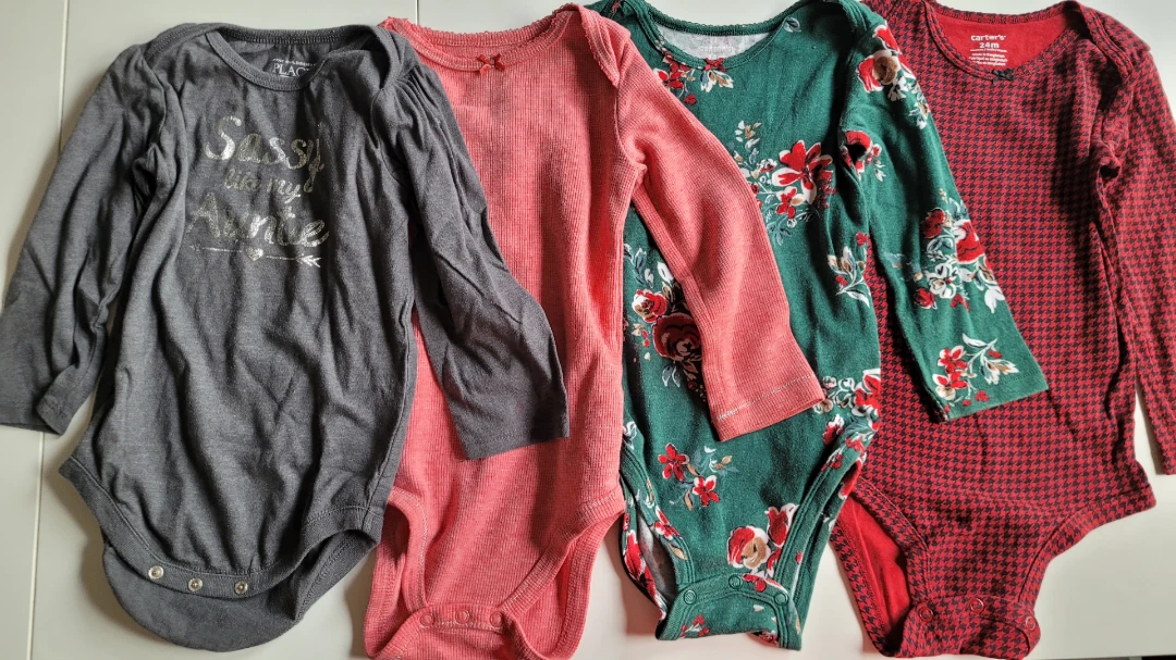 24M Baby Girl Long Sleeve Bodysuits (4-Pack)