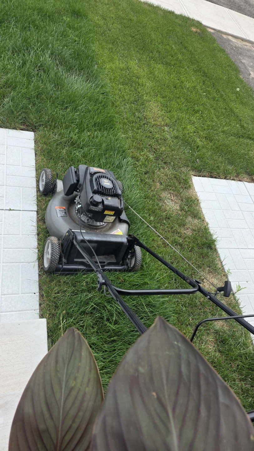 Craftsman Gas Lawn Mower - photo 4