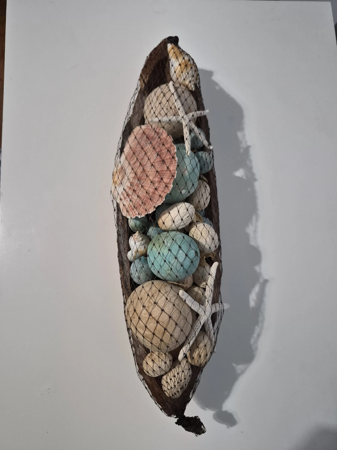 Decorative Nautical Display with Shells and Starfish - photo 2