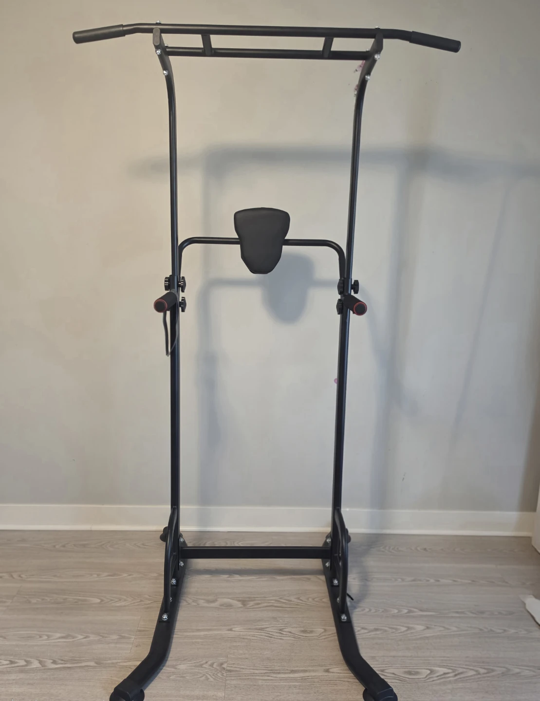 Pull-up and Dip Station