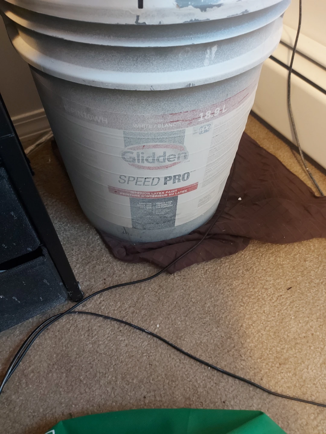 Glidden Speed Pro Interior Latex Paint - White