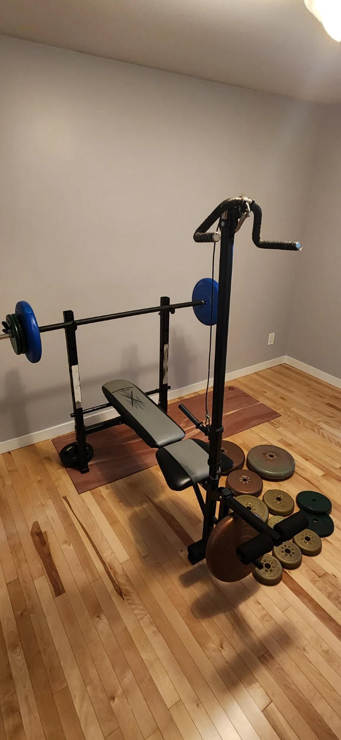 Weight Bench with Barbell and Weight Plates