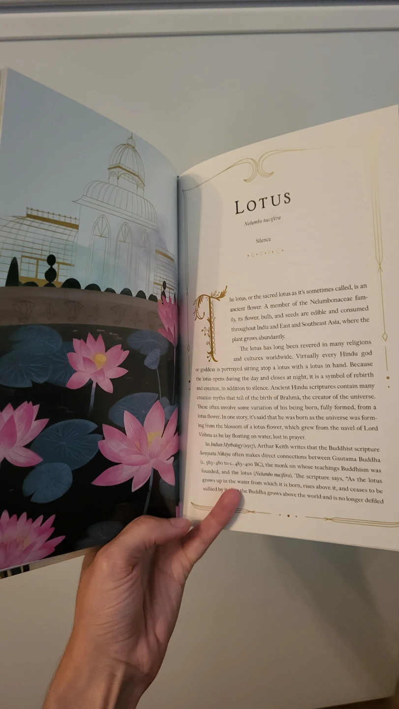 MOVING SALE BOOKS! please check description for prices - photo 3