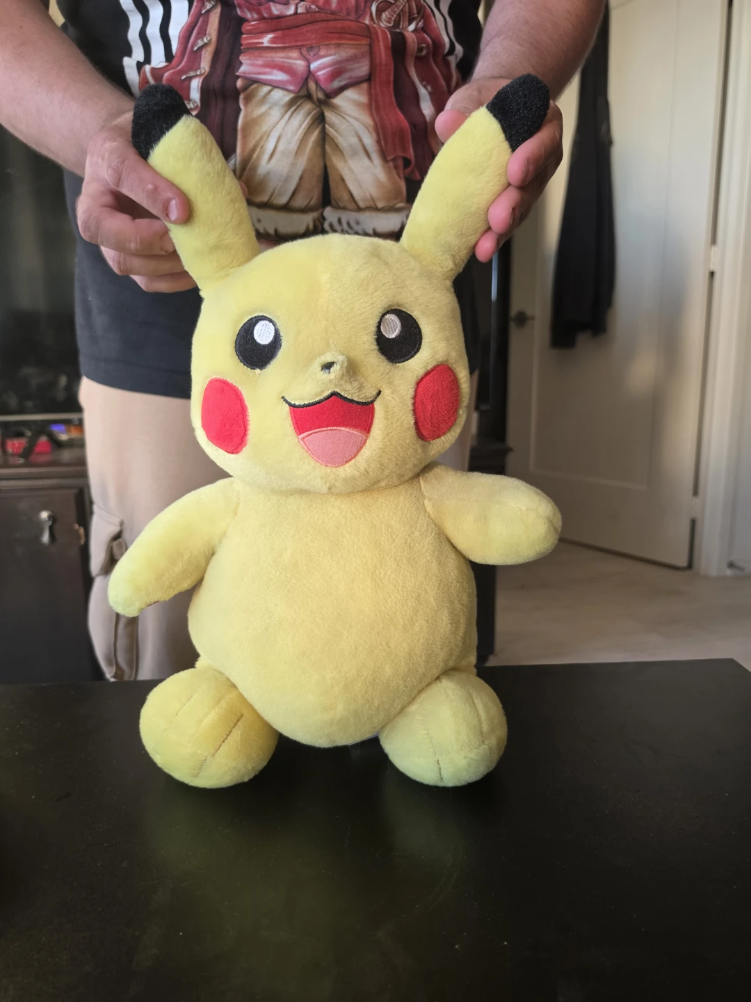 Pikachu Plush Toy