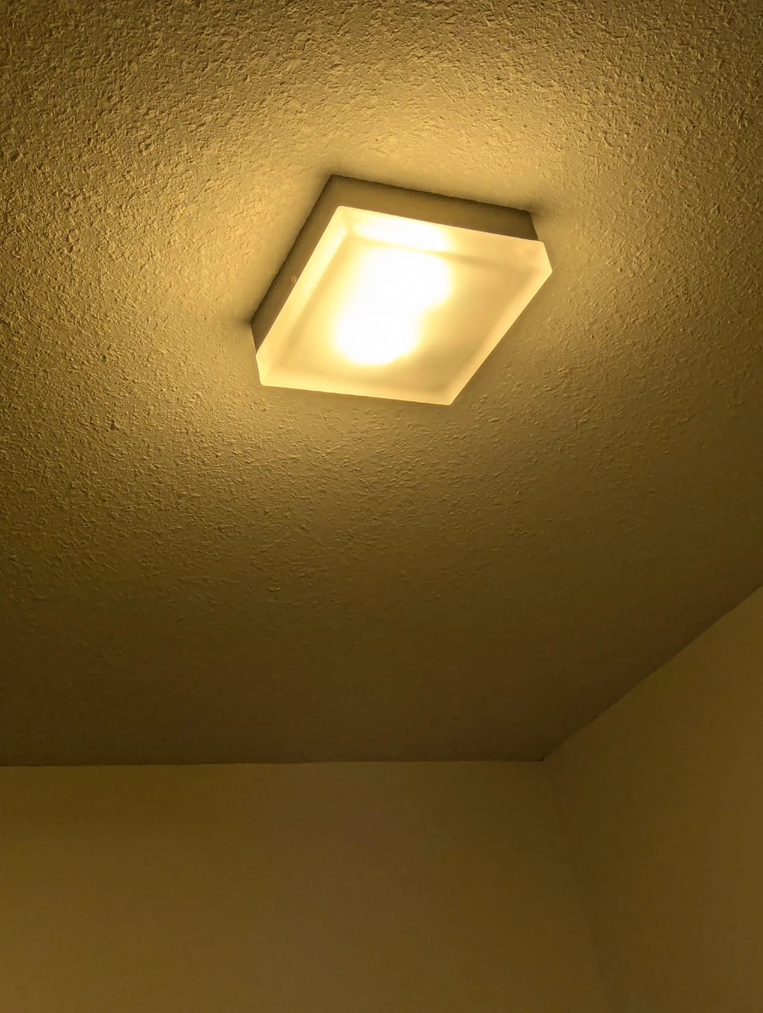 Flush Mount Ceiling Light Fixture