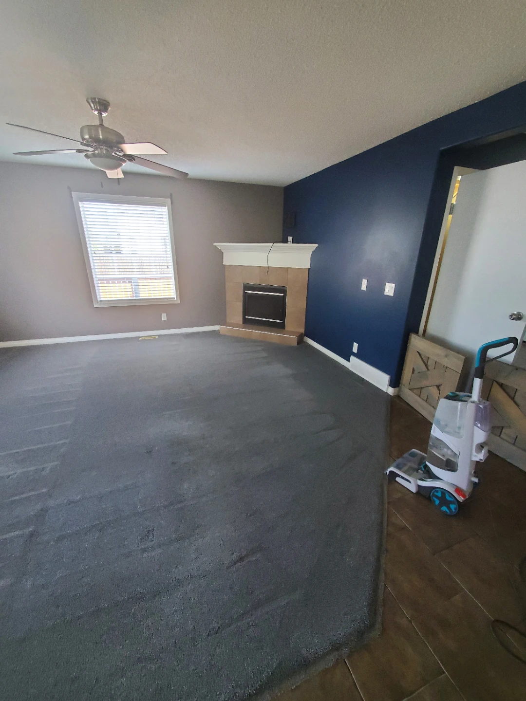 Carpet Cleaning - photo 4