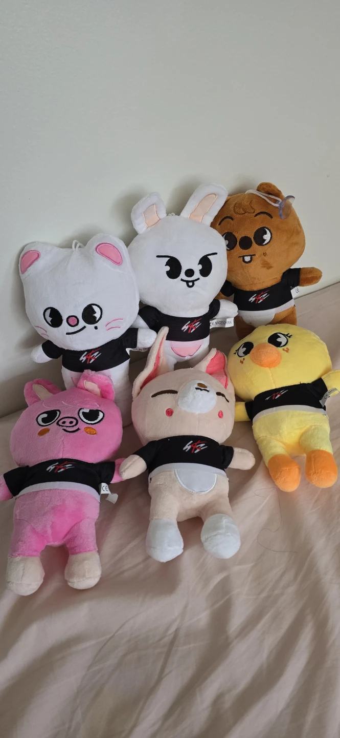 Stray Kids SKZOO Plush Dolls - photo 2