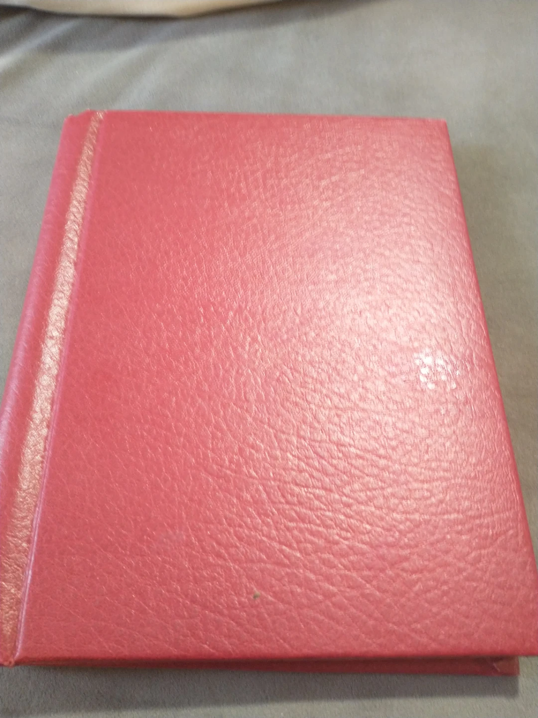 Red Photo Album 25 pages, holds 100 photos