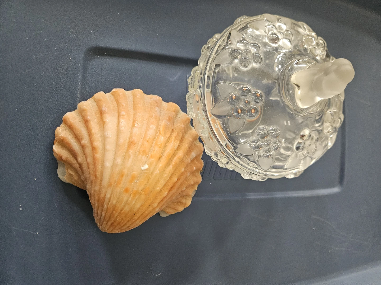 Decorative Glass Trinket Dish with Shell - photo 2