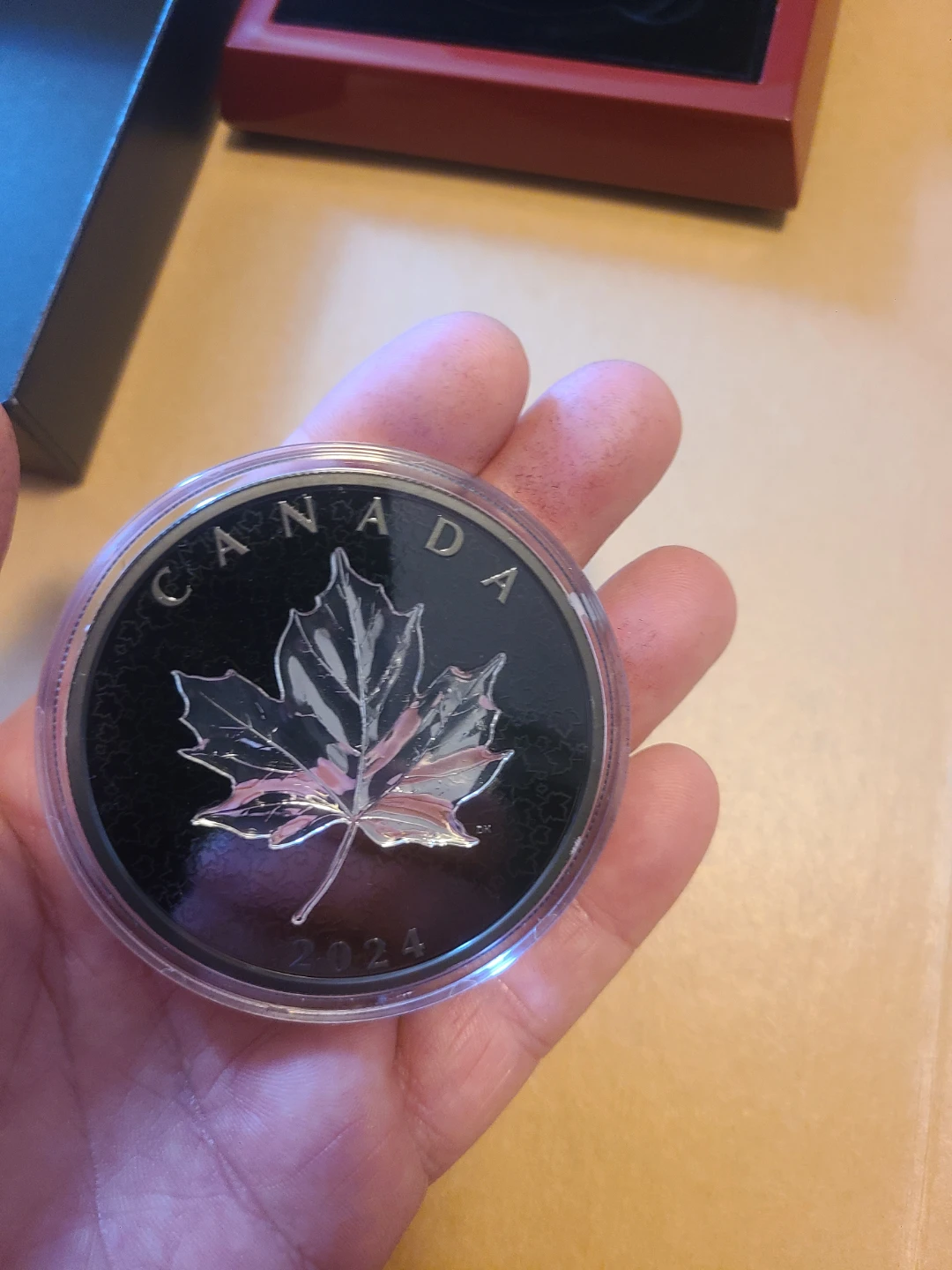 2024 $50 Fine Silver Coin Maple Leaves in Motion - photo 4