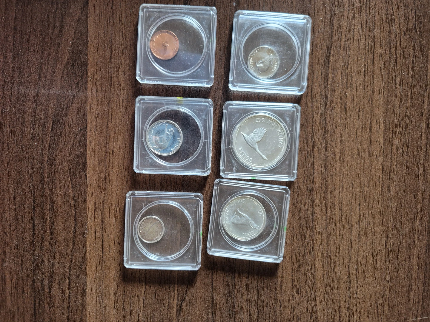 Coin Collection