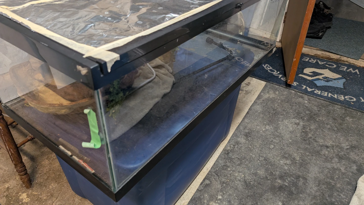 Terrarium For Sale - photo 2