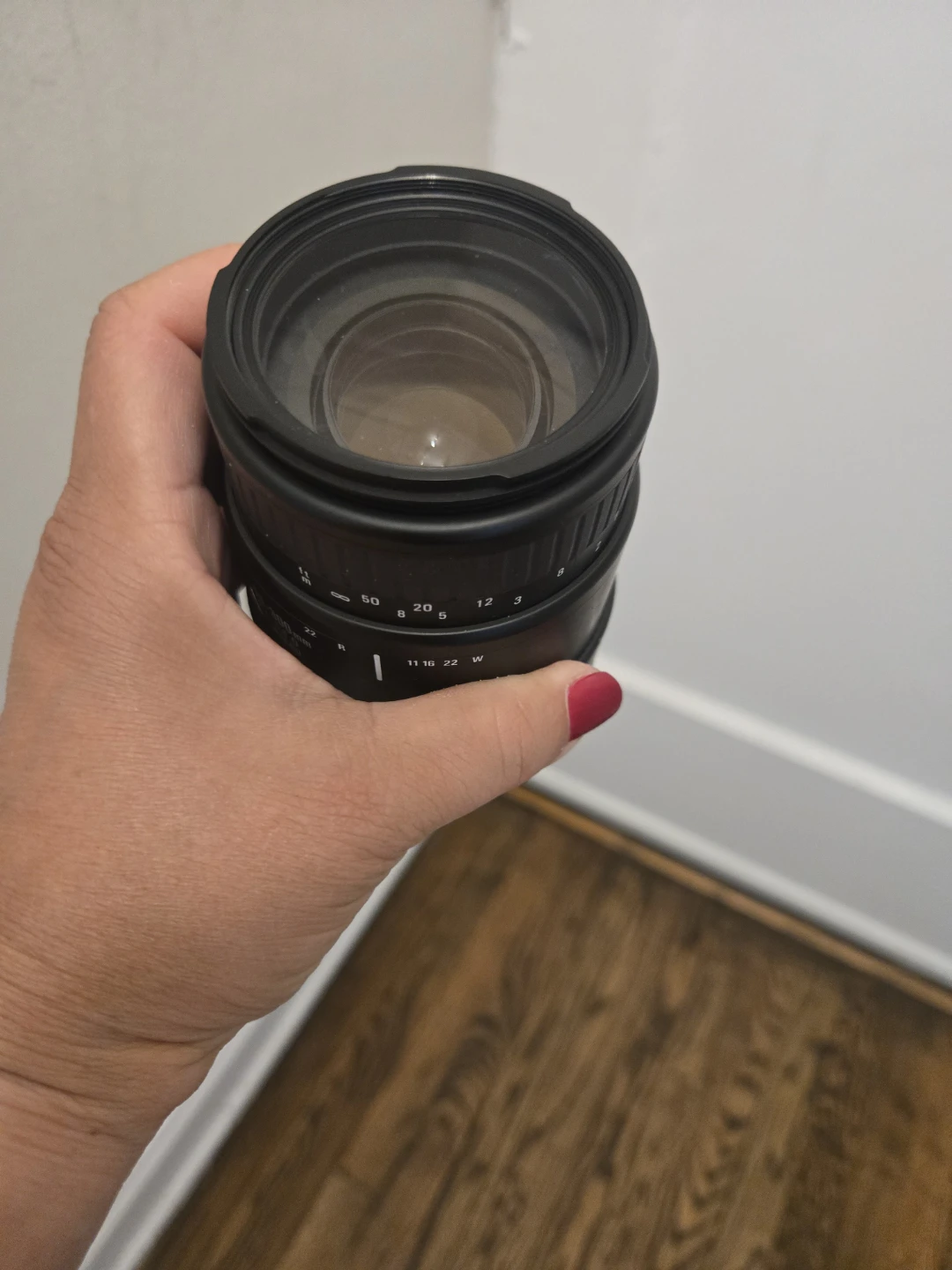 Sigma 70-300mm f/4-5.6 D DL Macro Lens - photo 3