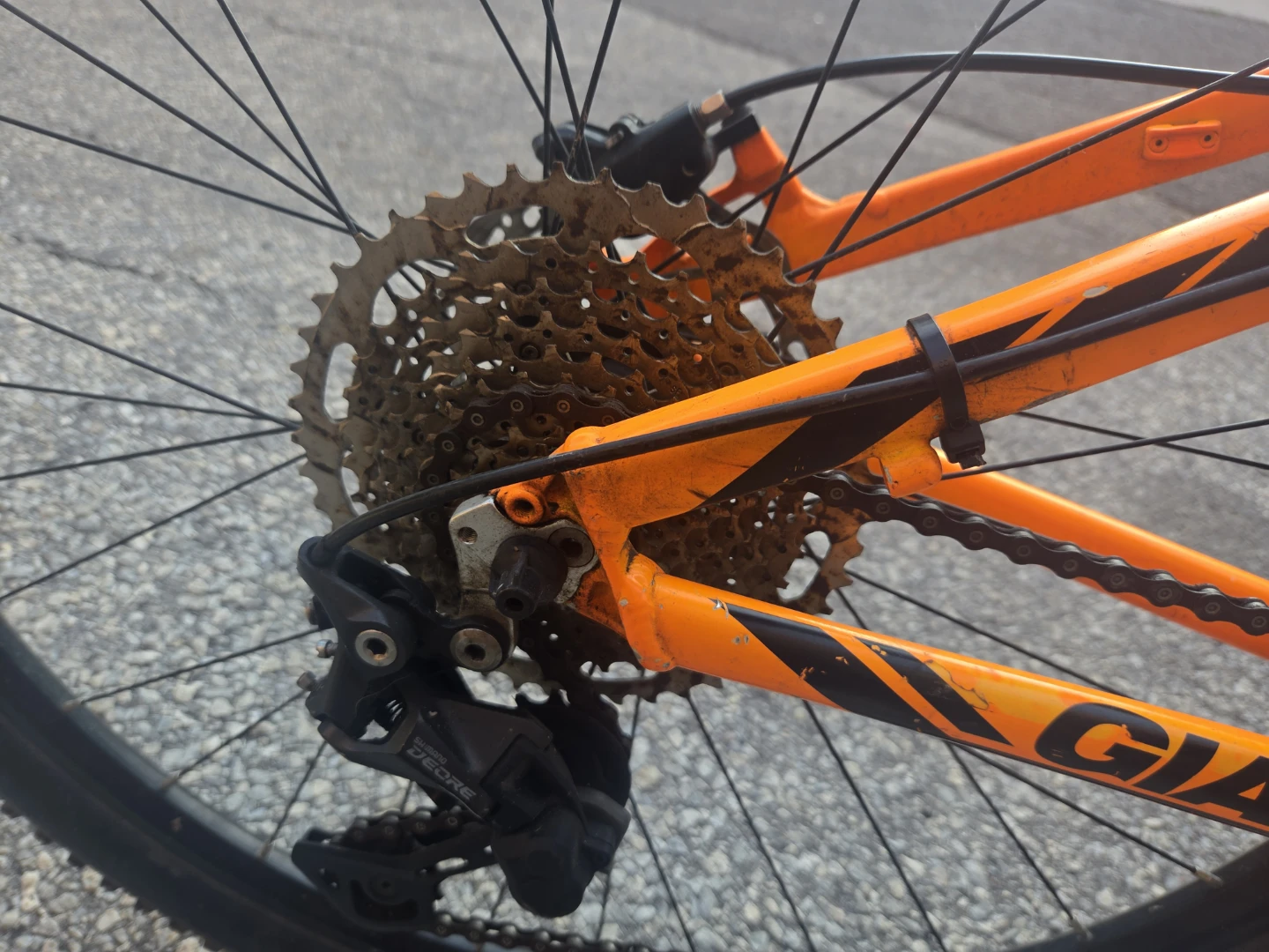 MOUNTAIN BIKE  1× 10, 29ER - photo 3