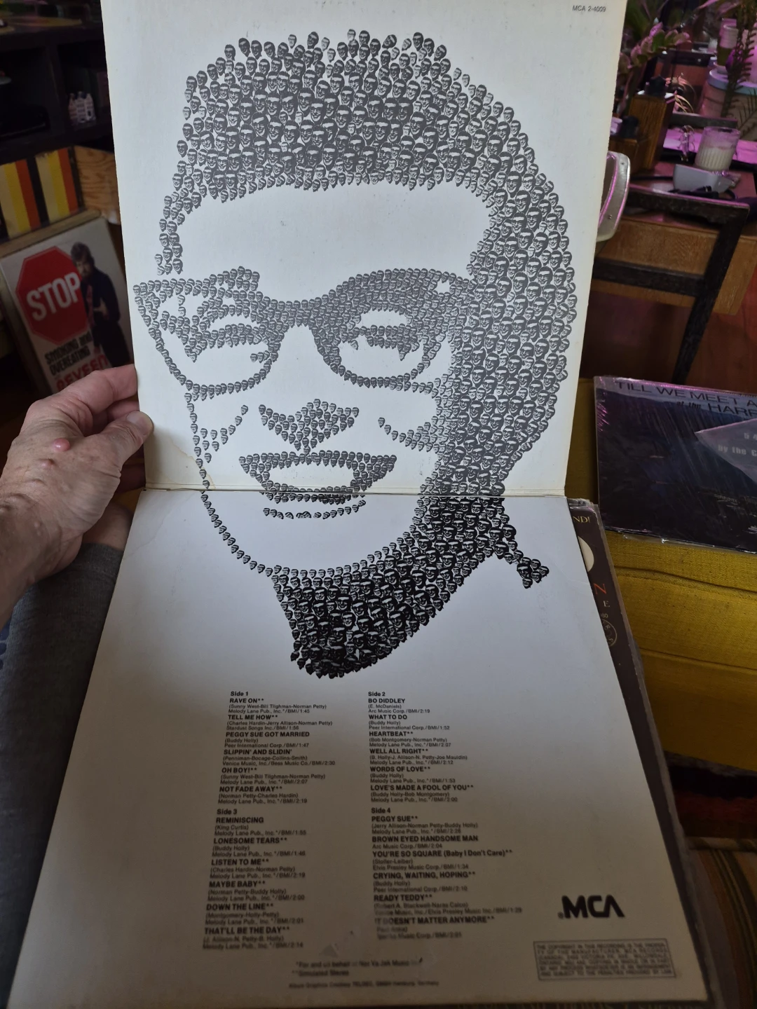 Buddy Holly A Rock & Roll Collection Vinyl LP - photo 3