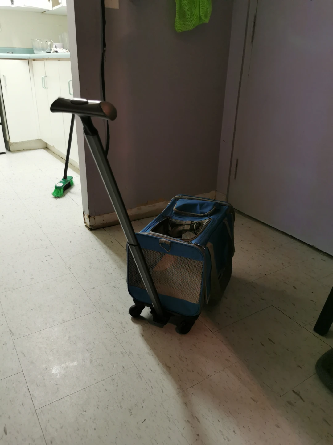 Blue Pet Carrier Rolling Bag