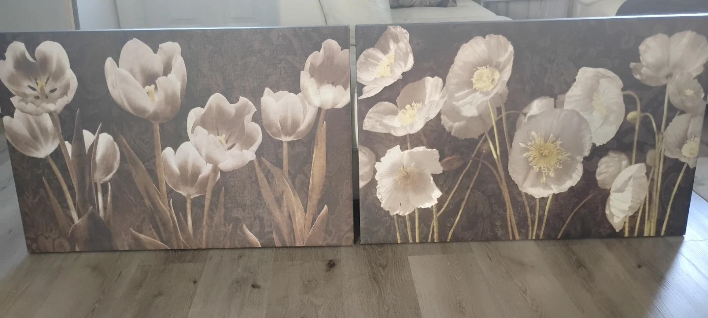 Set of 2 Floral Canvas Wall Art Prints