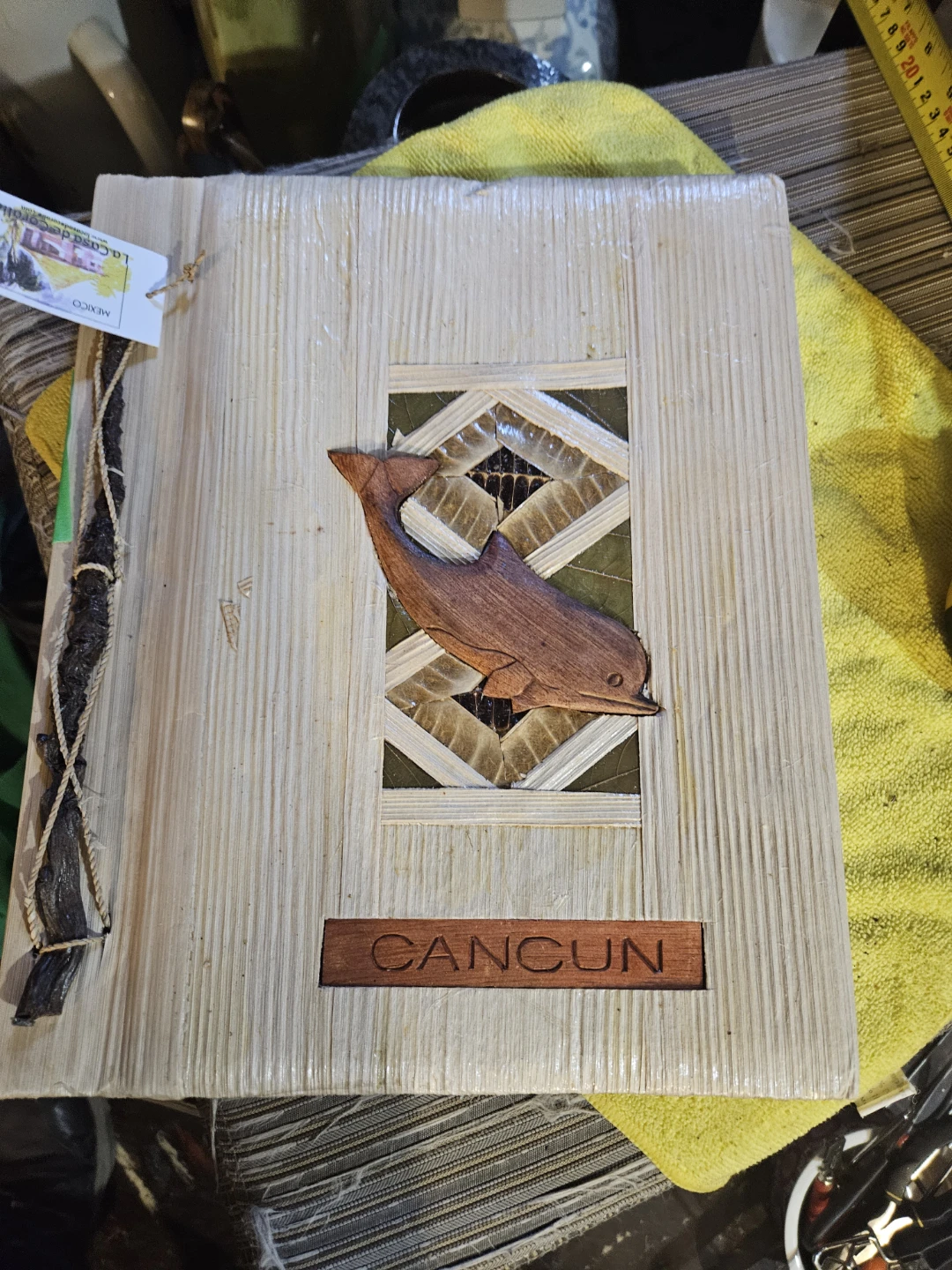 Cancun Dolphin Photo Album - photo 2