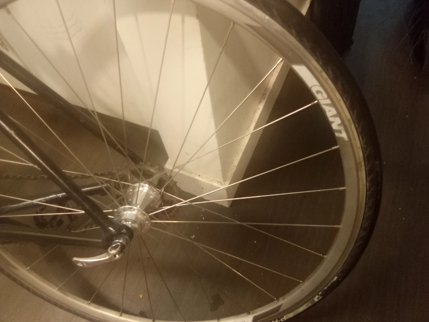 Carbon fiber project GIANT Fixie Bike - photo 2