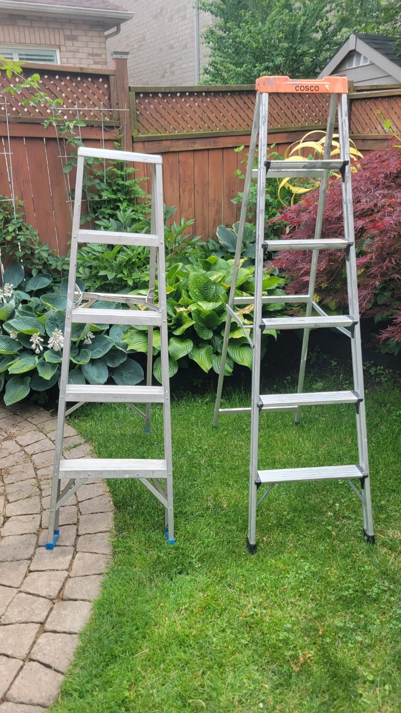 Cosco and Silver Ladders aluminum foldable