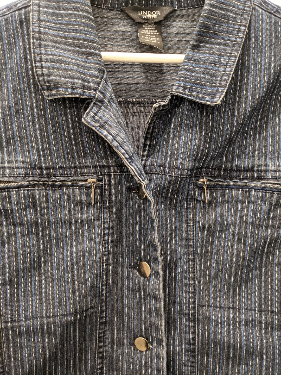 Vintage Lindor Petite Denim Button-Front Pinstripe Jacket - photo 4