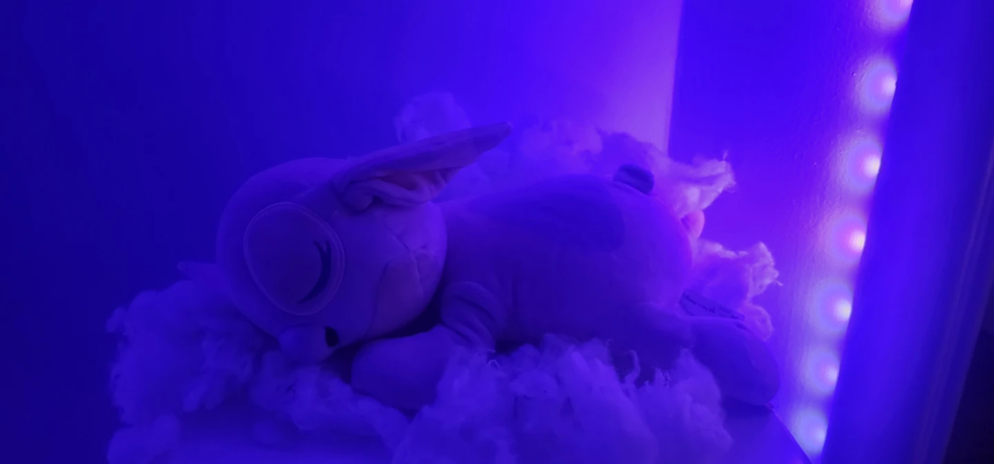 Plush Sleeping