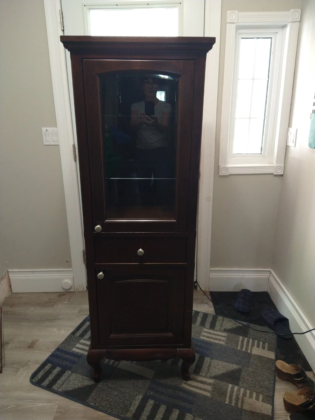 Dark Wood Display Cabinet with Glass Door