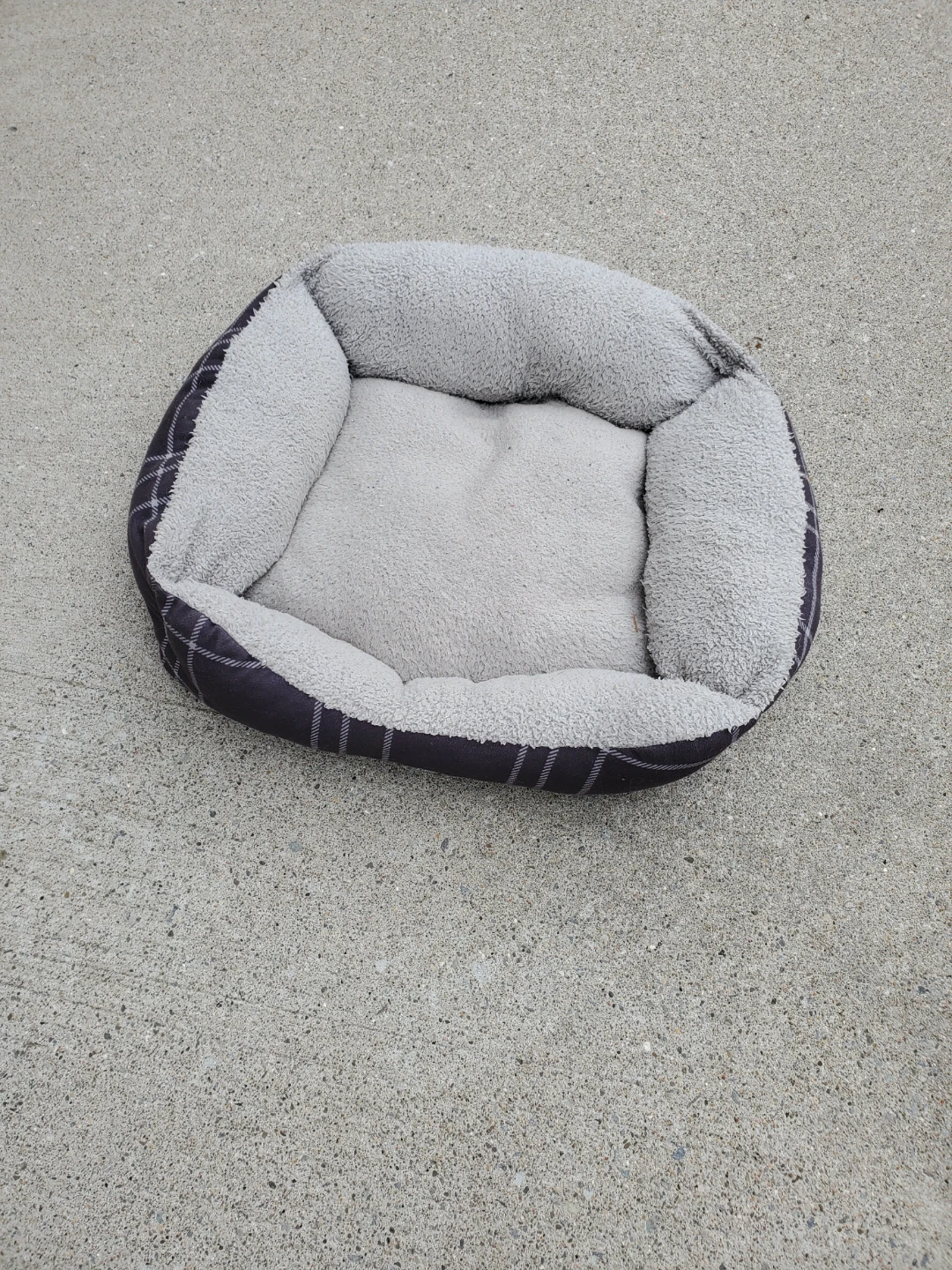 (Free) dog bed