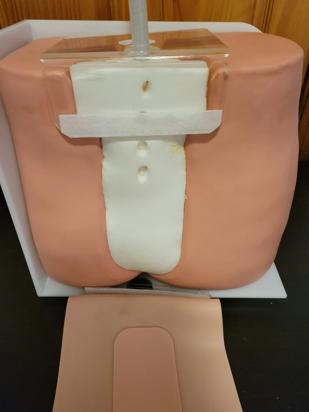 Spinal Injection Simulator Manikin Dummy for training - photo 2