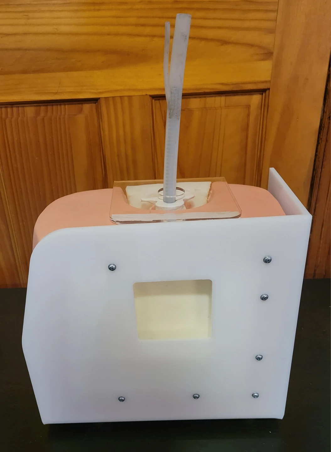 Spinal Injection Simulator Manikin Dummy for training - photo 5