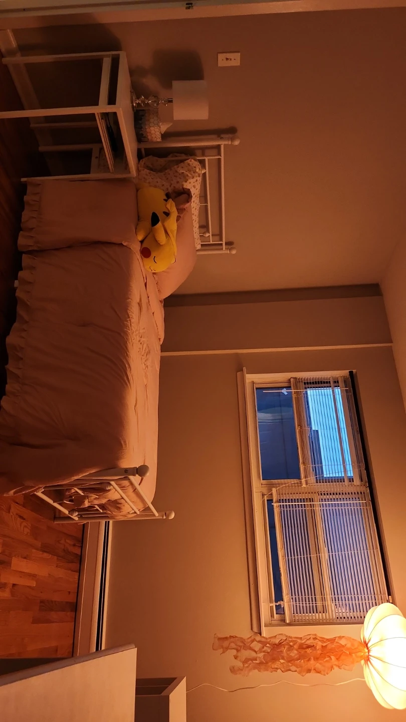 Twin Sized Bed - NEEDS TO GO ASAP
