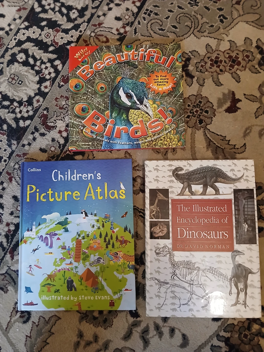 Kids non-fiction books