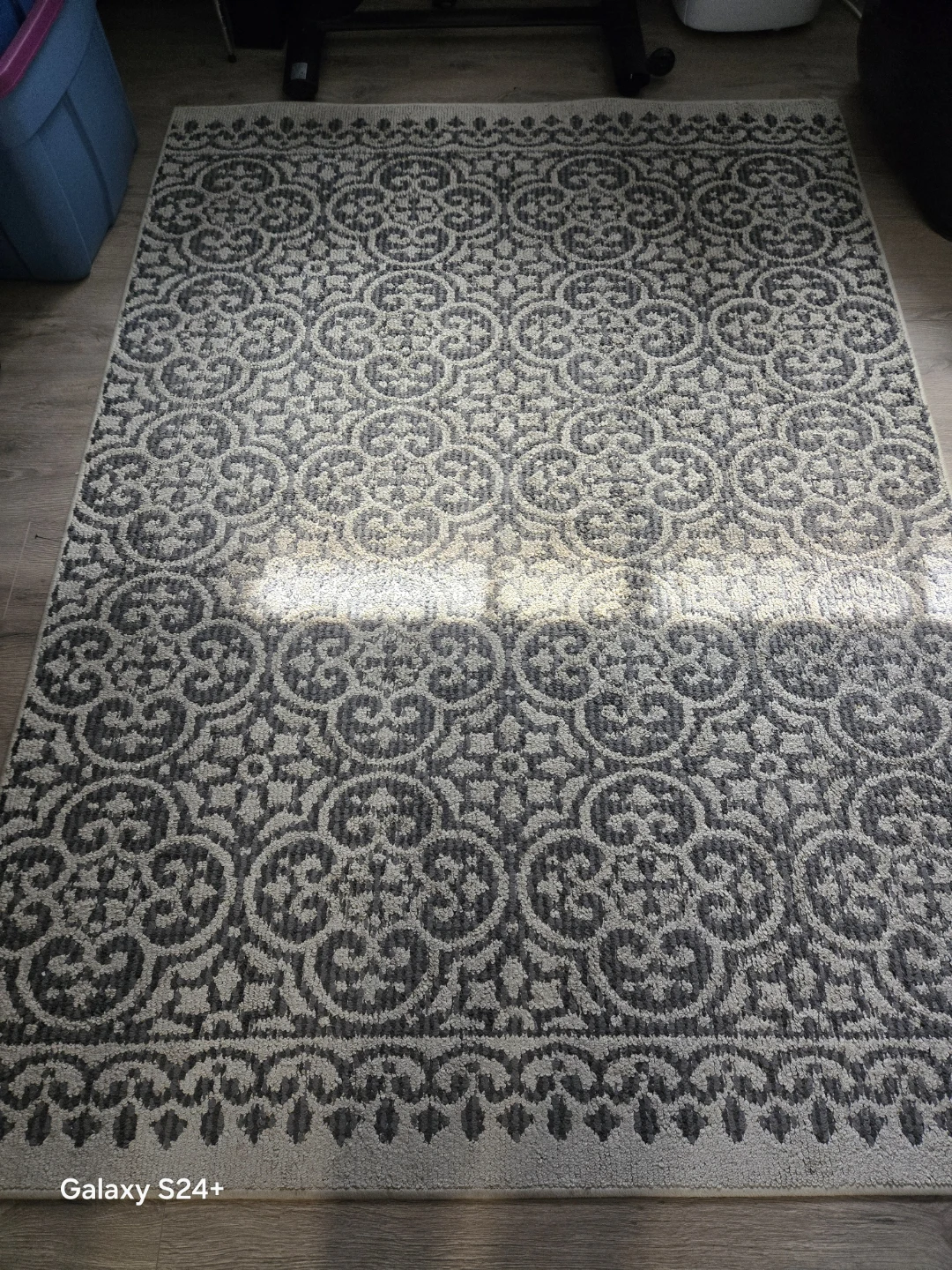 Area Rug - photo 3