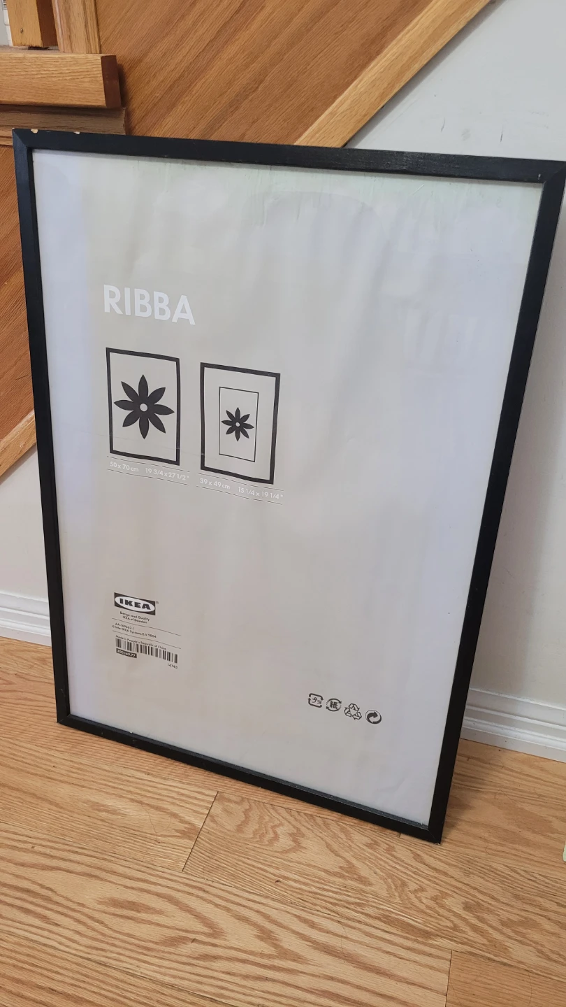 IKEA RIBBA Black Picture Frame