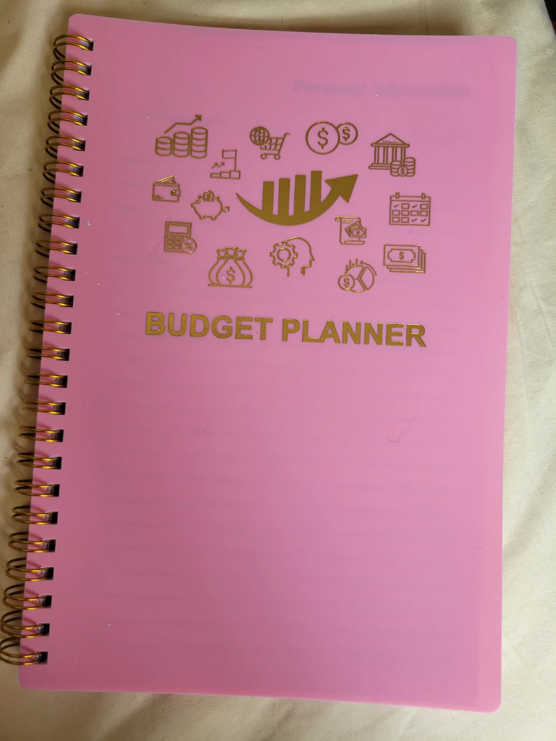 Pink Budget Planner and Debt Tracker Notebook