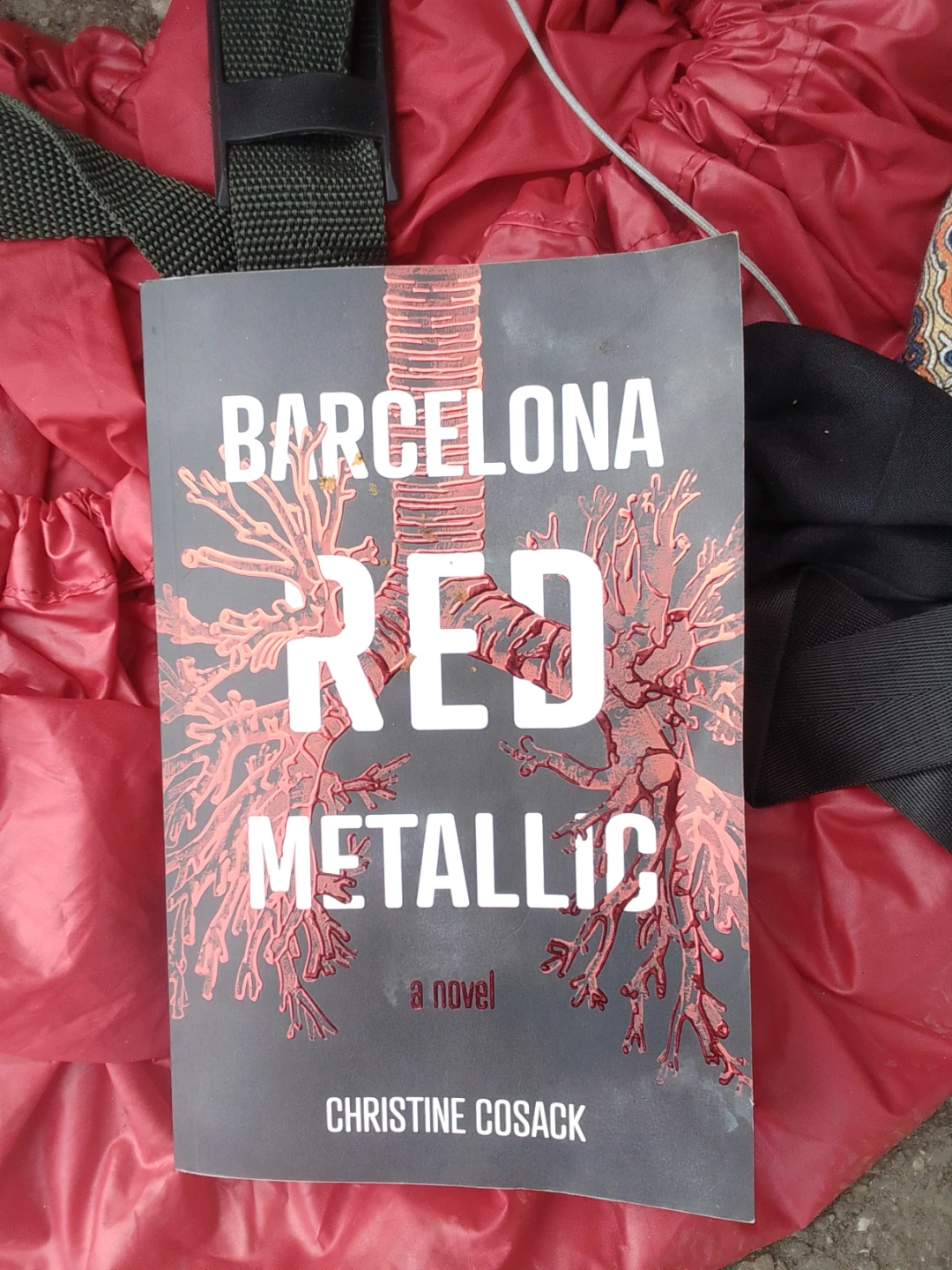 Barcelona Red Metallic by Christine Cosack