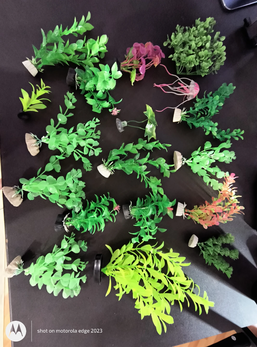 Aquarium decorations