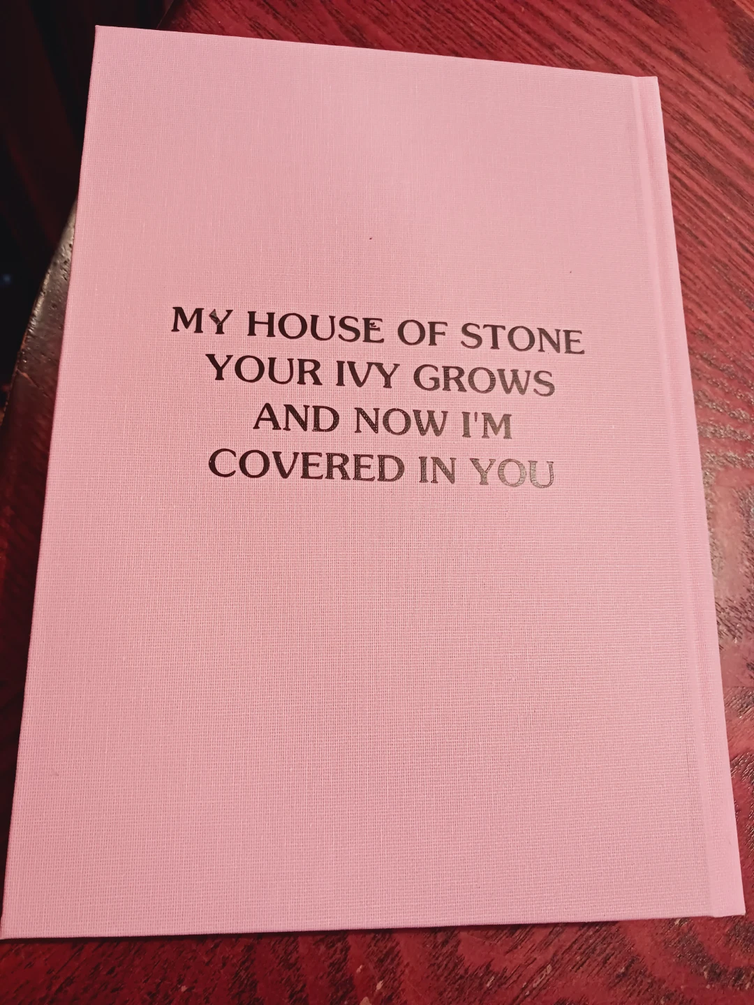 Taylor Swift Book of Lyrics - photo 5