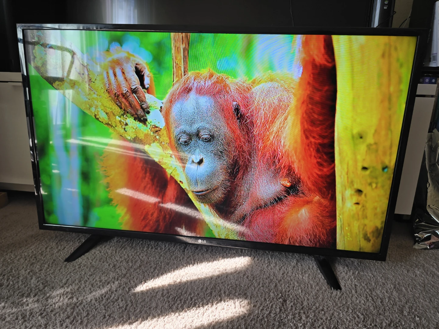 LG 43LF5100: 43" Class (42.5" Diagonal) 1080p LED TV - photo 5