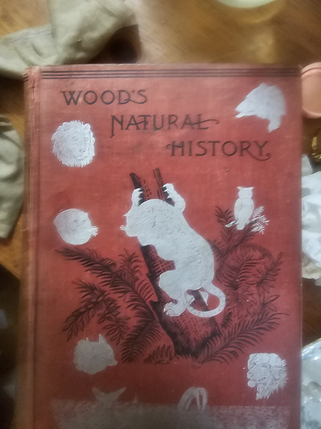 Wood's Natural History & The Wonderful and the Wise Book