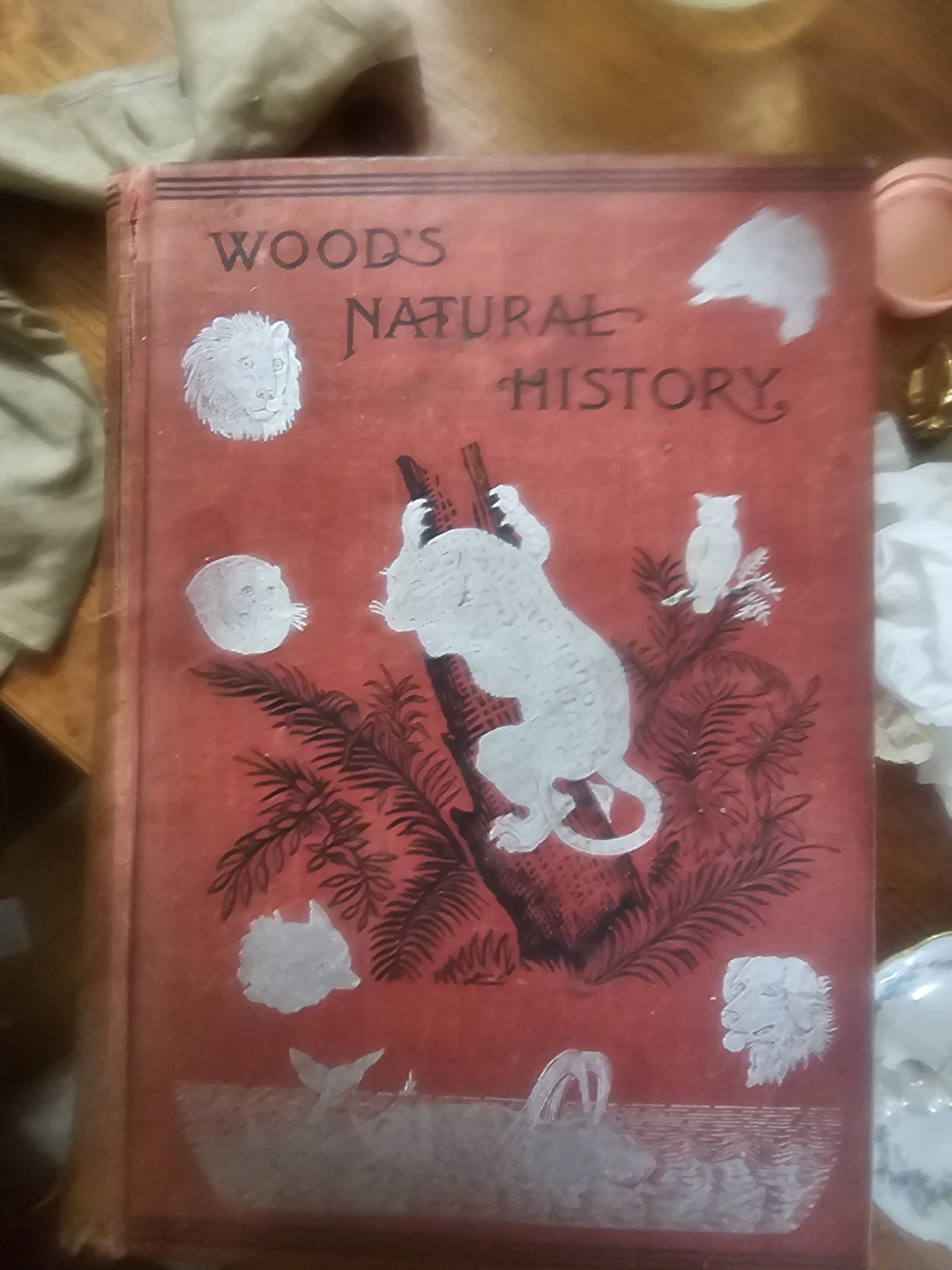 Wood's Natural History & The Wonderful and the Wise Book - photo 3