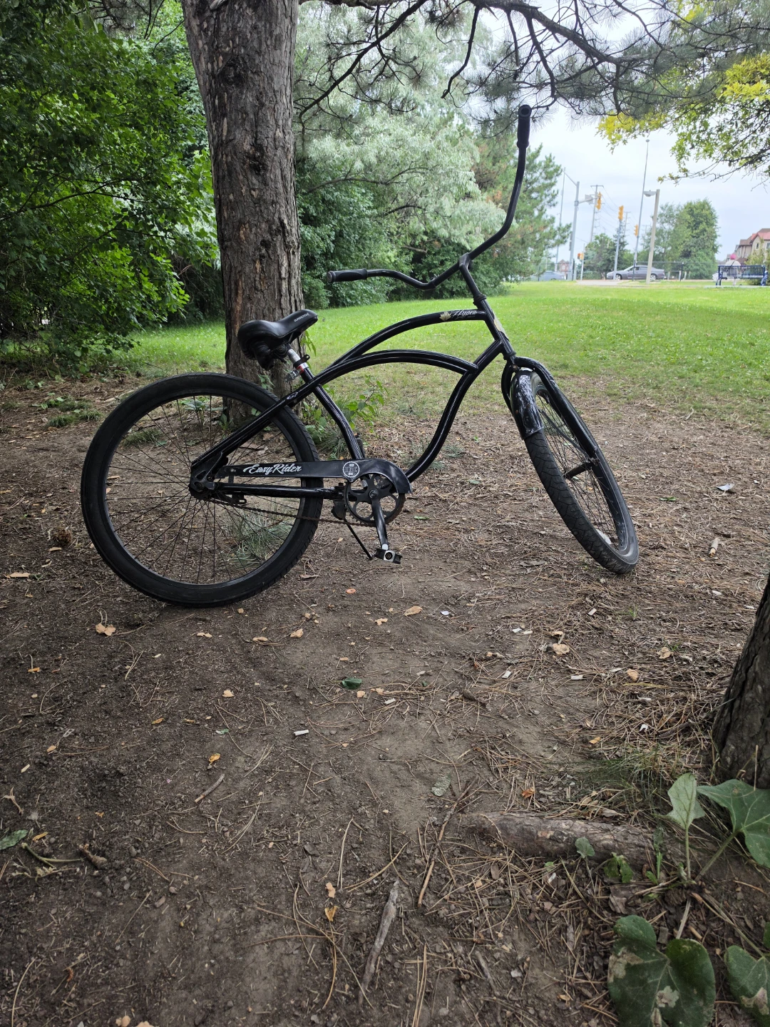 Easy Rider Cruiser Bicycle