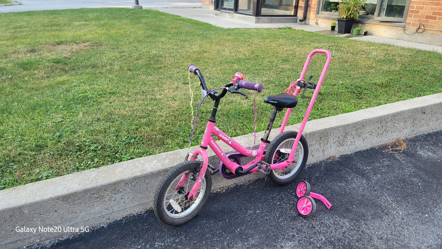 Kids Pink Bicycle with Training Wheels - photo 3