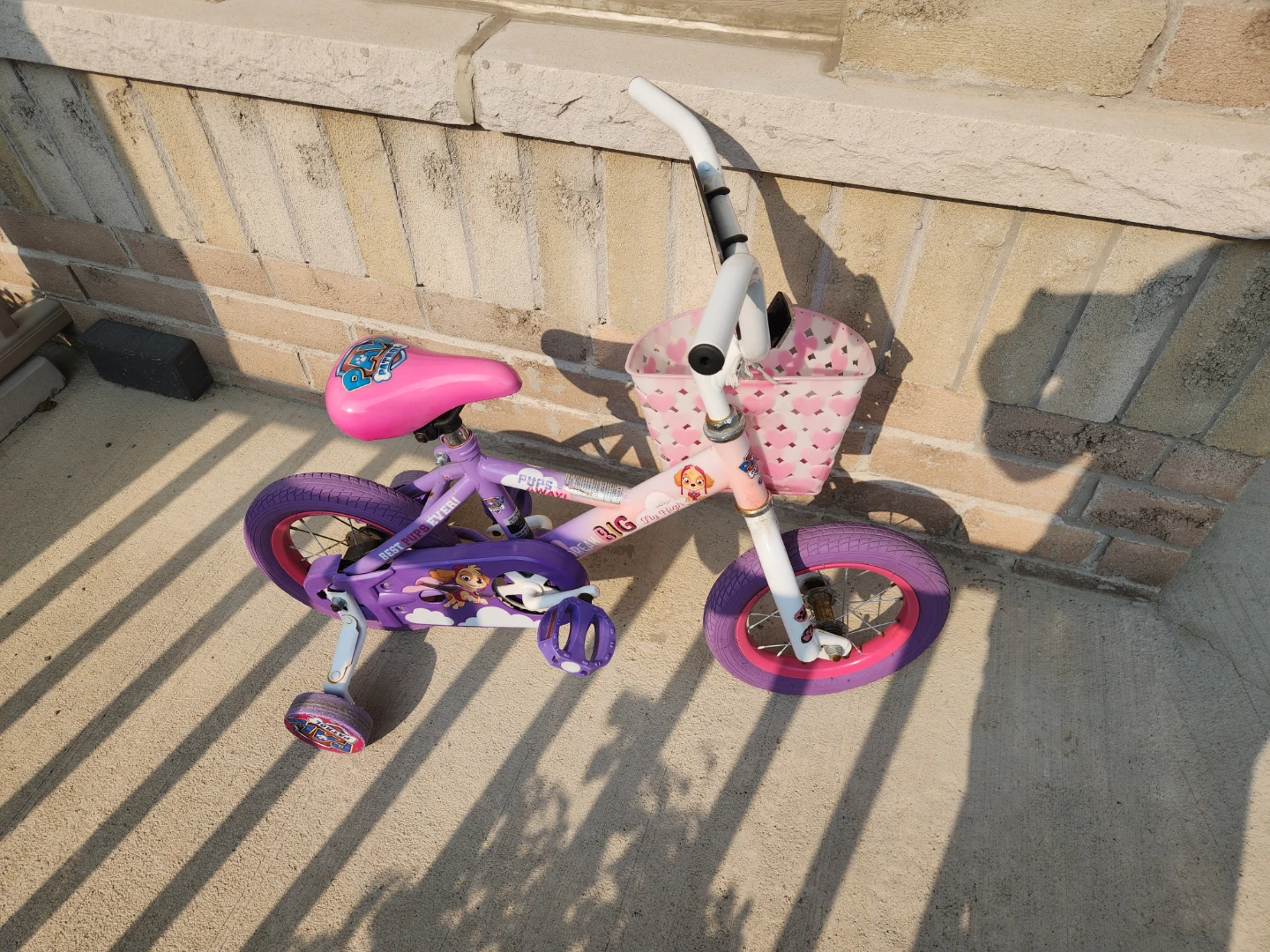 Kids' "Paw Patrol" Bicycle