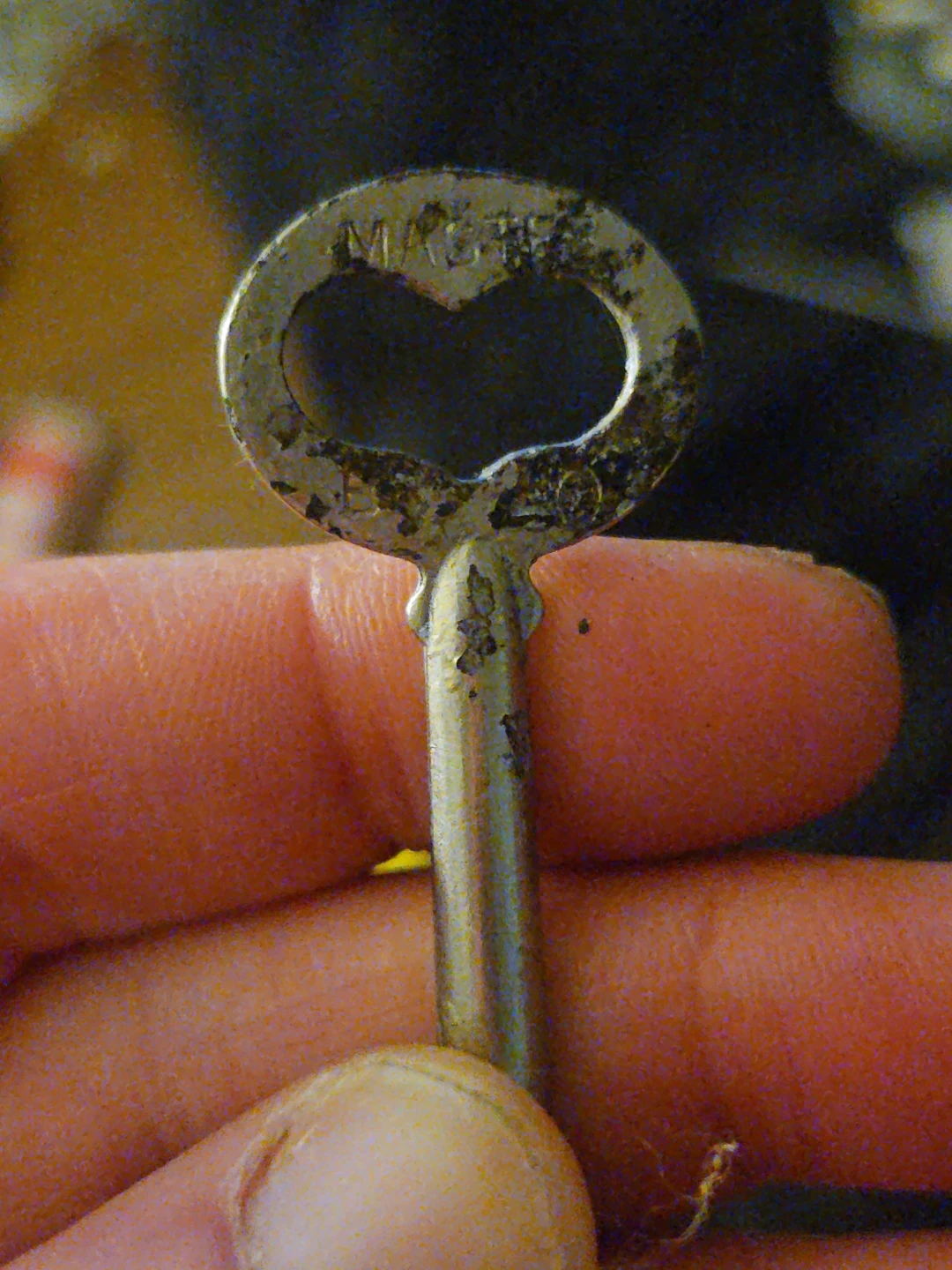 Vintage Master Lock Skeleton Key