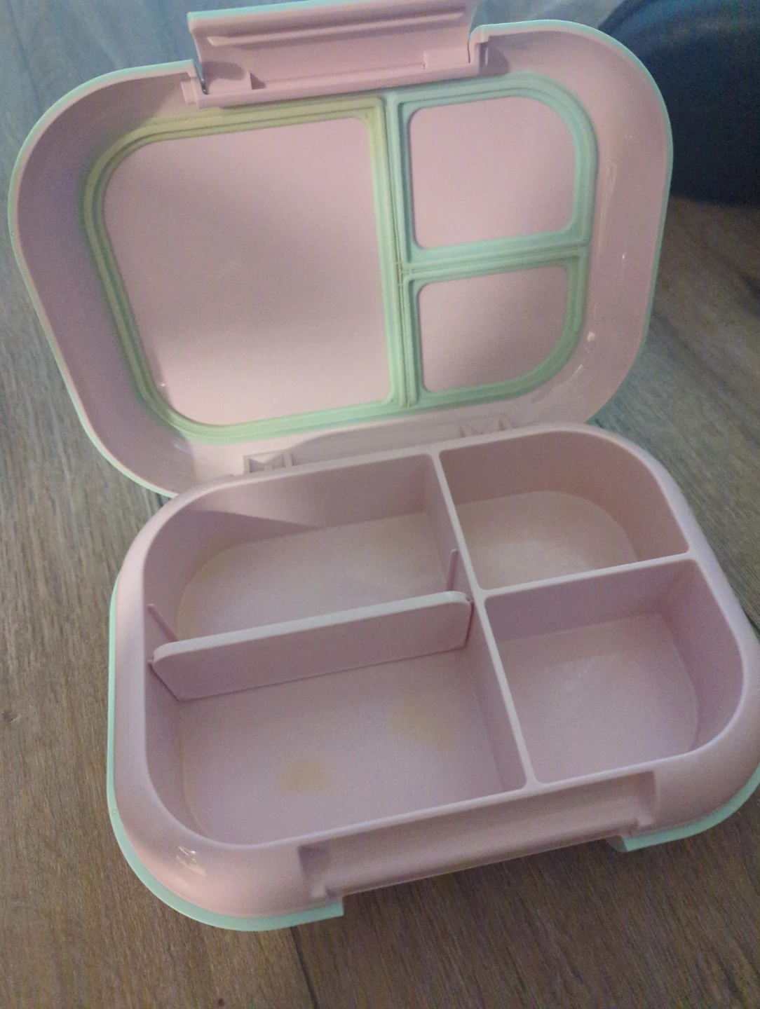 Pink Divided Lunch Box