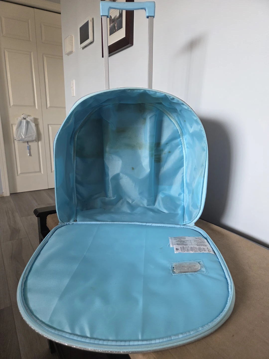 Disney Frozen Rolling Luggage - photo 2