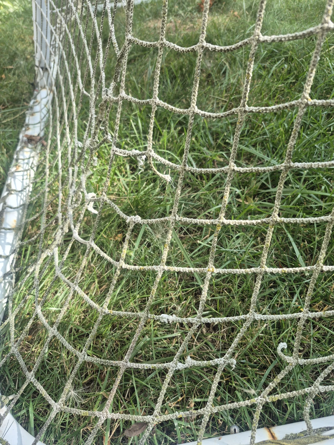 Bauer Hockey Net - photo 3