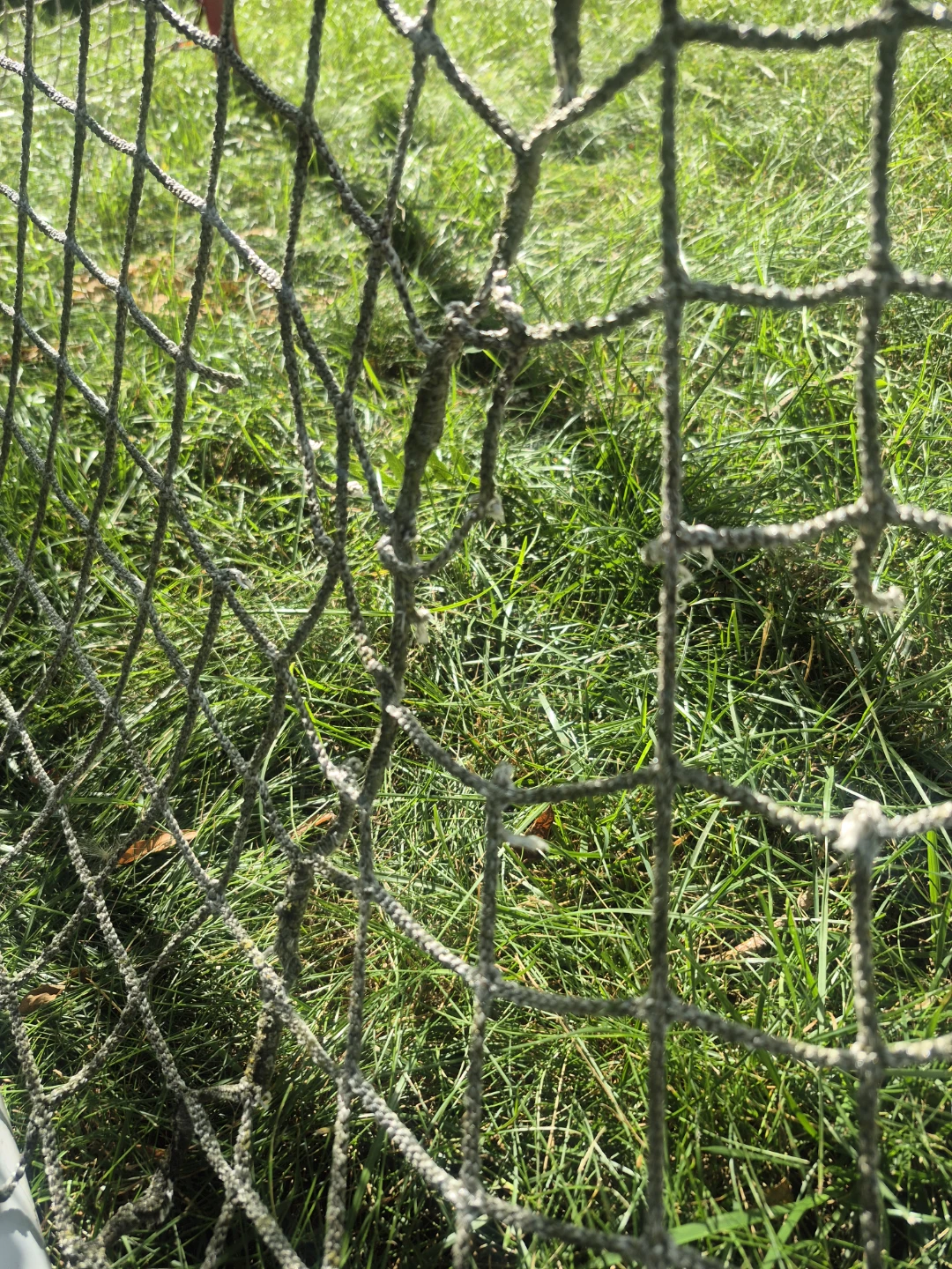 Bauer Hockey Net - photo 4
