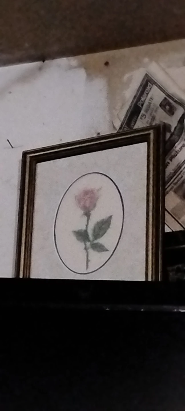 Framed Rose Artwork